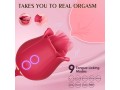 vibromasseur-rose-a-18-battements-avec-gode-de-poussee-small-3
