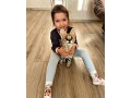 karakal-serwal-sawanna-f1-small-4