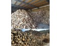 a-vendre-chene-charme-frene-hetrebon-qualite-de-bois-de-chauffage-small-1