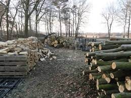 a-vendre-chene-charme-frene-hetrebon-qualite-de-bois-de-chauffage-big-2