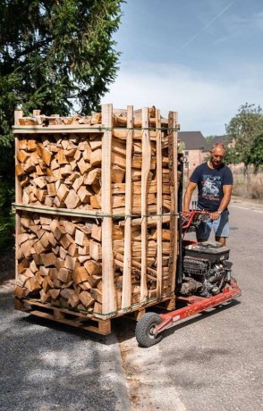 brennholz-von-guter-qualitat-ist-ein-guter-preis-ab-60-chf-pro-ster-big-1
