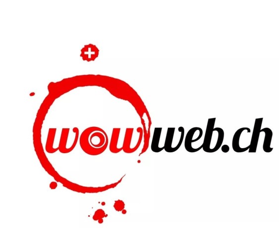 wowweb-web-et-informatique-big-0