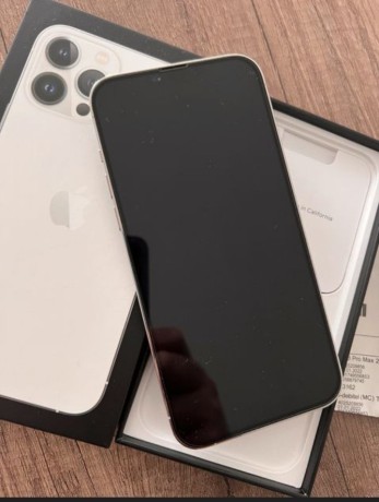 apple-iphone-13-pro-max-big-1