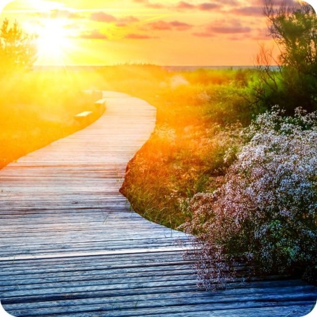 guerisseur-magnetiseur-big-2